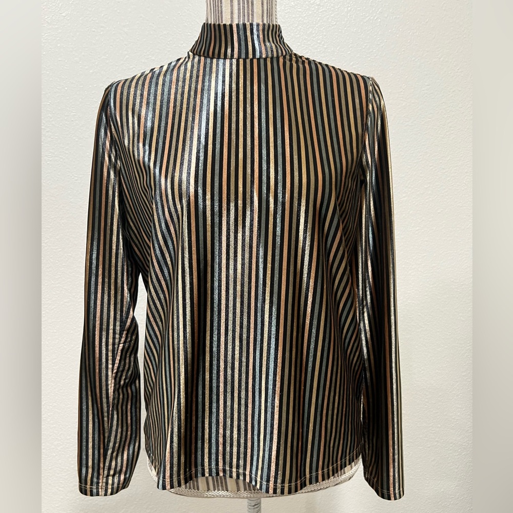 Zara Striped Velvet Metallic Long Sleeve Top